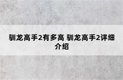 驯龙高手2有多高 驯龙高手2详细介绍